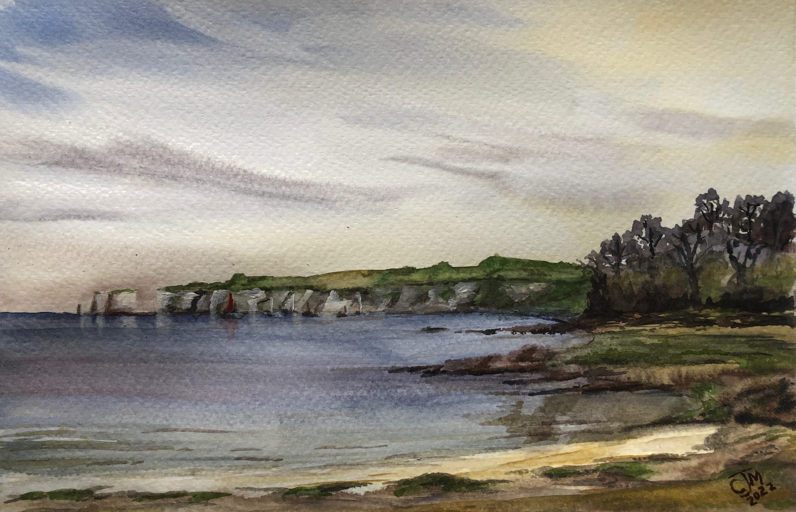 #111 - Studland Bay from Red End Point