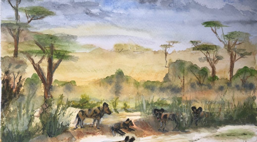 #114 - African Hunting Dogs